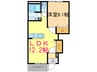 ｻﾆｰﾌﾟﾚｲｽ 1LDKの間取り