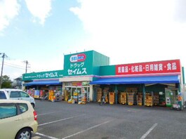 ドラッグセイムス青柳北店