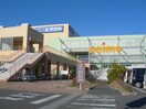 ヤオコーユニモちはら台店(スーパー)まで1055m※ユニモちはら台店 京成千葉線・千原線/ちはら台駅 徒歩8分 1階 築21年