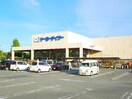 ケーヨーデイツー辰巳台店(電気量販店/ホームセンター)まで530m※ケーヨーデイツー辰巳台店 内房線/八幡宿駅 バス15分辰巳台東2丁目下車:停歩3分 2階 築35年