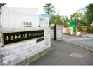 私立帝京平成大学ちはら台キャンパス(大学/短大/専門学校)まで1191m※私立帝京平成大学ちはら台キャンパス ラ･メール６５