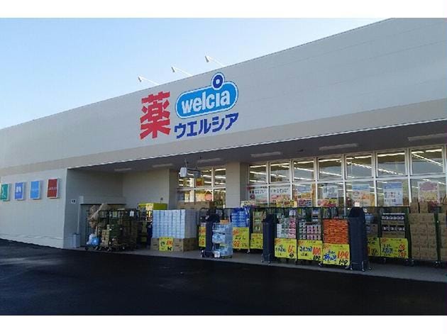 ウエルシア市原ちはら台店(ドラッグストア)まで733m※ウエルシア市原ちはら台店 外房線/鎌取駅 バス10分パークサイドちはら下車:停歩10分 1階 築22年
