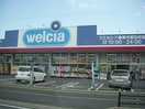 ウエルシア市原五井店(ドラッグストア)まで795m※ウエルシア市原五井店 リバーサイドⅡ