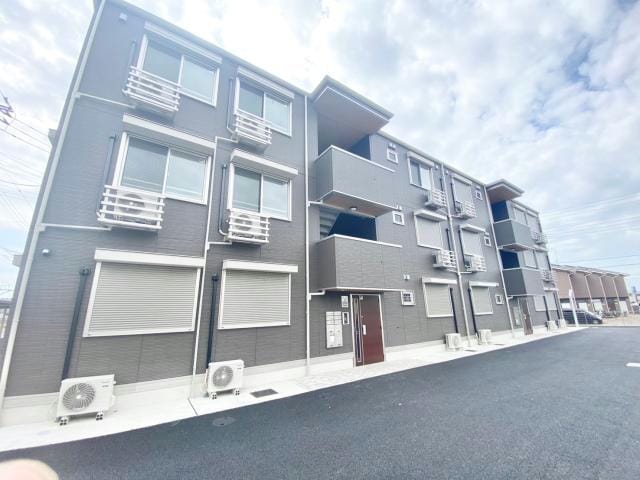  シャイングレイス