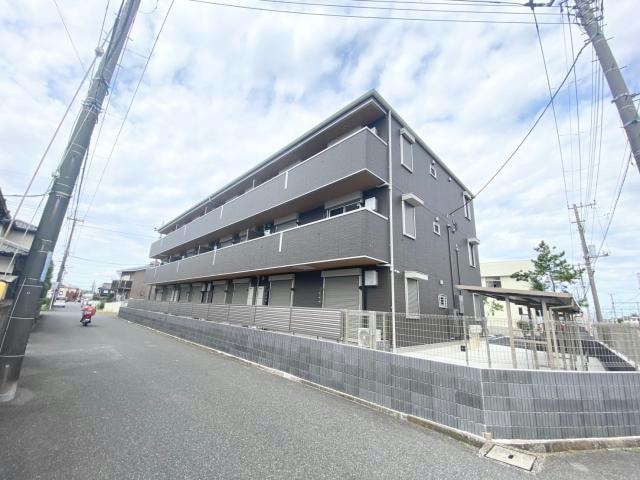  シャイングレイス