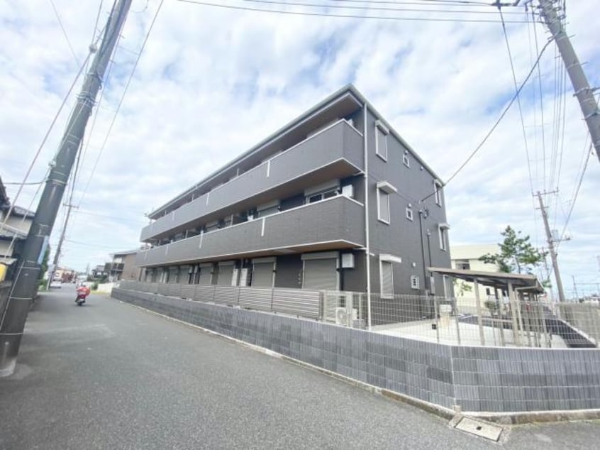  シャイングレイス