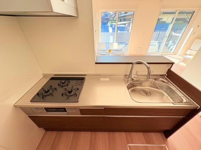  シャイングレイス