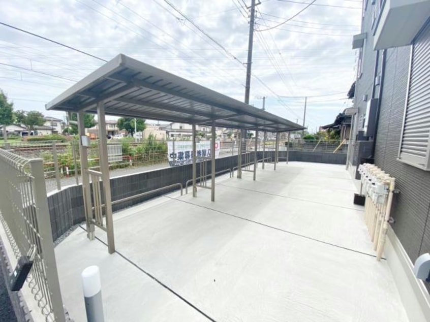  シャイングレイス