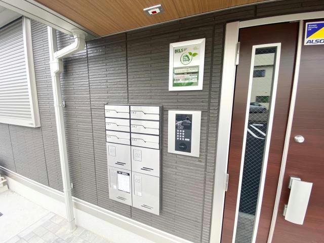  シャイングレイス