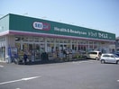 ドラッグセイムス青柳店(ドラッグストア)まで887m※ドラッグセイムス青柳店 ドリーマーⅠ
