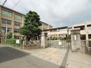 犬山市立犬山南小学校(小学校)まで749m 丸善ハイツ