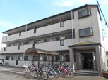 パインテラス