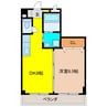 グレイスコート 1DKの間取り