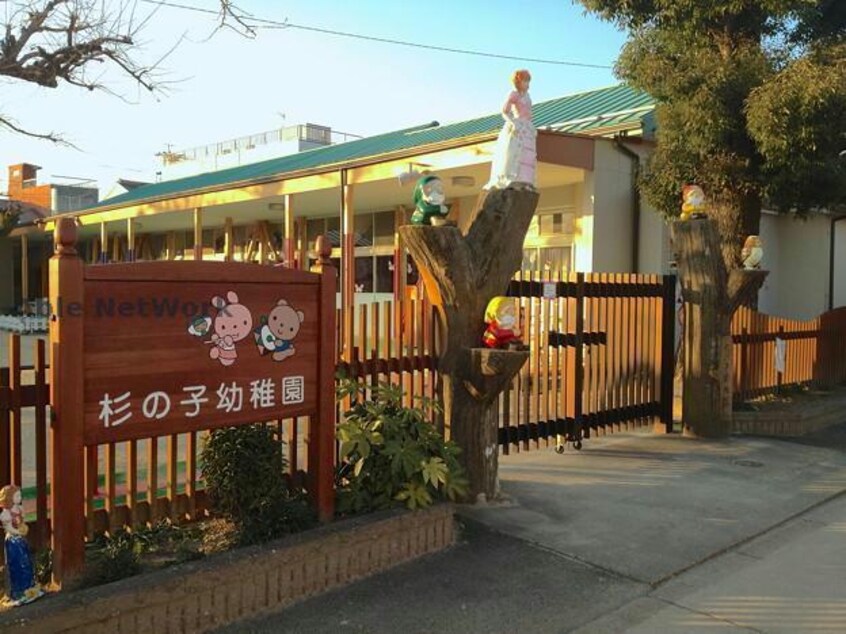 杉の子幼稚園(幼稚園/保育園)まで815m ソフィテージ