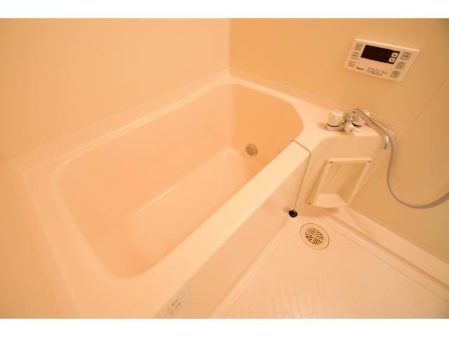 他号室の写真になります。 ミューズポカホンタス