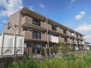 Ｔステージミカーレ