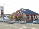 コメダ珈琲店扶桑伊勢帰店(その他飲食（ファミレスなど）)まで503m プレジョイア