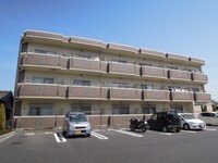 コーディアルさくら