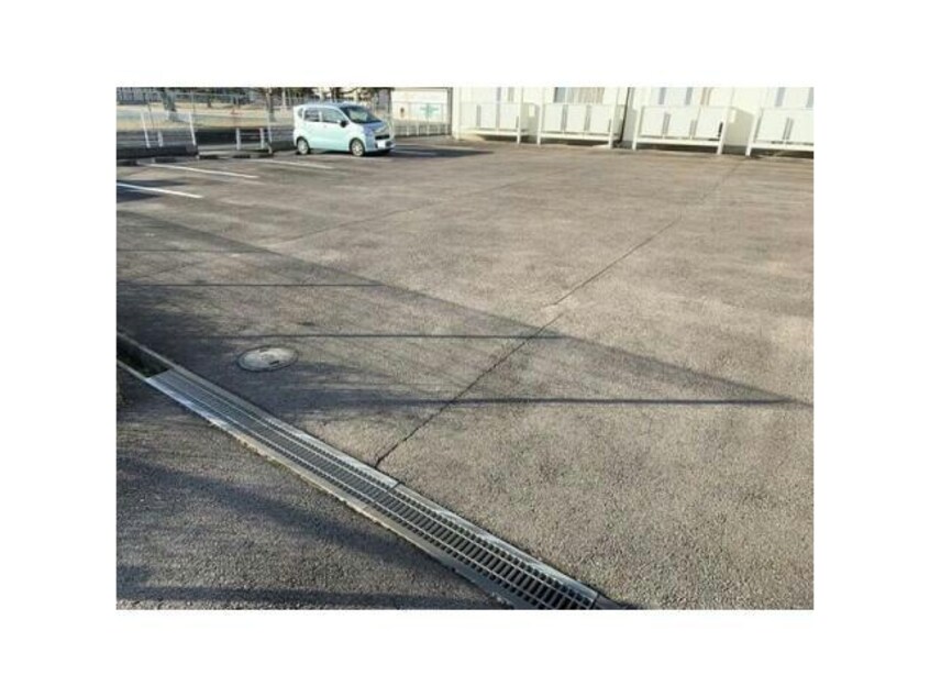  SurplusOneいまえだ