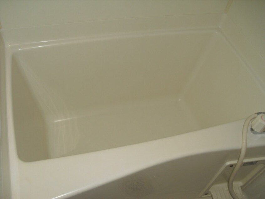  SurplusOneいまえだ