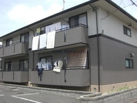 セントポーリア