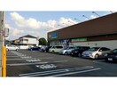 ゲンキー西北野店(ドラッグストア)まで702m Warren wakamiyaⅠ