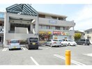 CoCo壱番屋小牧田県店(ファストフード)まで1699m Warren wakamiyaⅠ