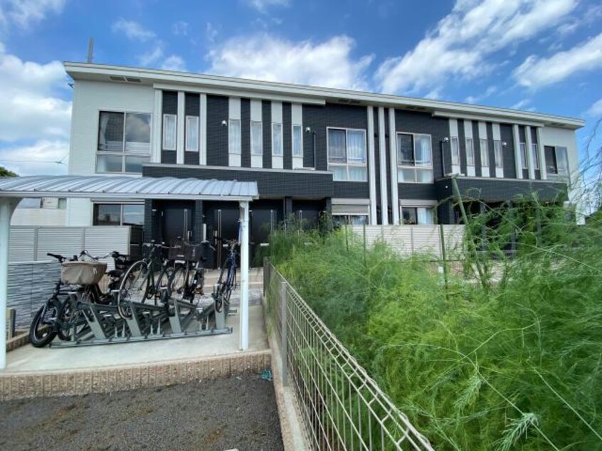  パルティール・秋桜