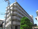 徳島バス（板野郡）/向喜来東 徒歩10分 2階 築43年の外観