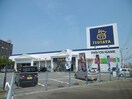 TSUTAYA徳島新浜店(ビデオ/DVD)まで1560m ファミールアルファB