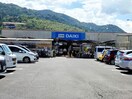 DCM徳島西店(電気量販店/ホームセンター)まで1685m ベレオ南佐古