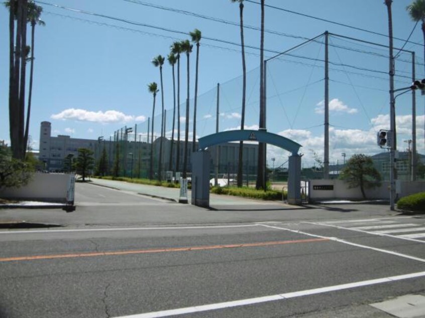 徳島市立高校(高等学校/高等専門学校)まで1874m フェアリー大和町