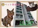 アーバンハイム東の外観