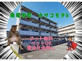 カサコモダ６