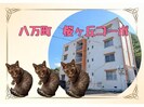 桜ヶ丘コーポの外観