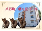 桜ヶ丘コーポ