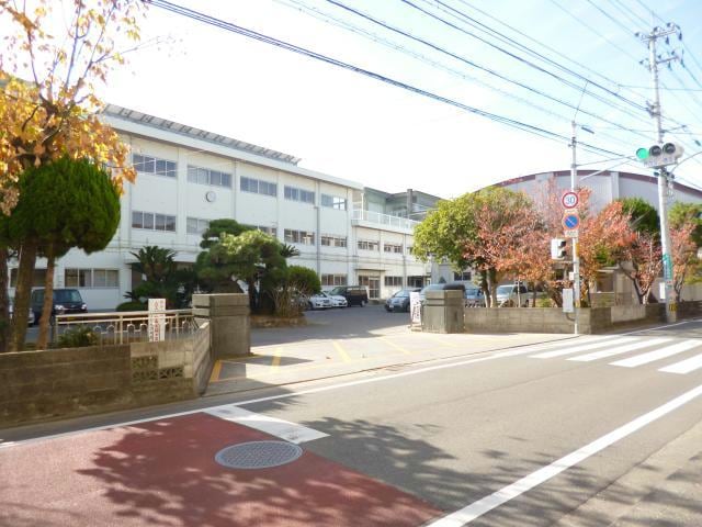 徳島市立八万小学校(小学校)まで578m 松原マンション