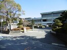 徳島市立八万南小学校(小学校)まで1859m 松原マンション