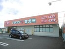 ドラッグセガミ西須賀店(ドラッグストア)まで1340m 大谷町戸建て