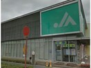 JAあいち中央碧南中支店(銀行)まで351m テラスノアサウス