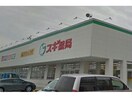 スギドラッグ牛田東店(ドラッグストア)まで1234m ソレイユ伊吹