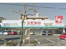 スギ薬局橋目店(ドラッグストア)まで2402m サープラス1　都美Ａ