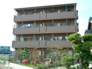 フラターナルヒルズ