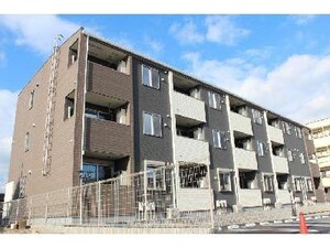 フェリチタ　ナギの木