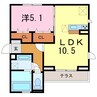 ラピス矢作 1LDKの間取り