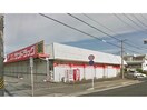 サンドラッグ美園店(ドラッグストア)まで491m シャルレ永井