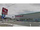スギドラッグ東刈谷店(ドラッグストア)まで610m シャルレ永井