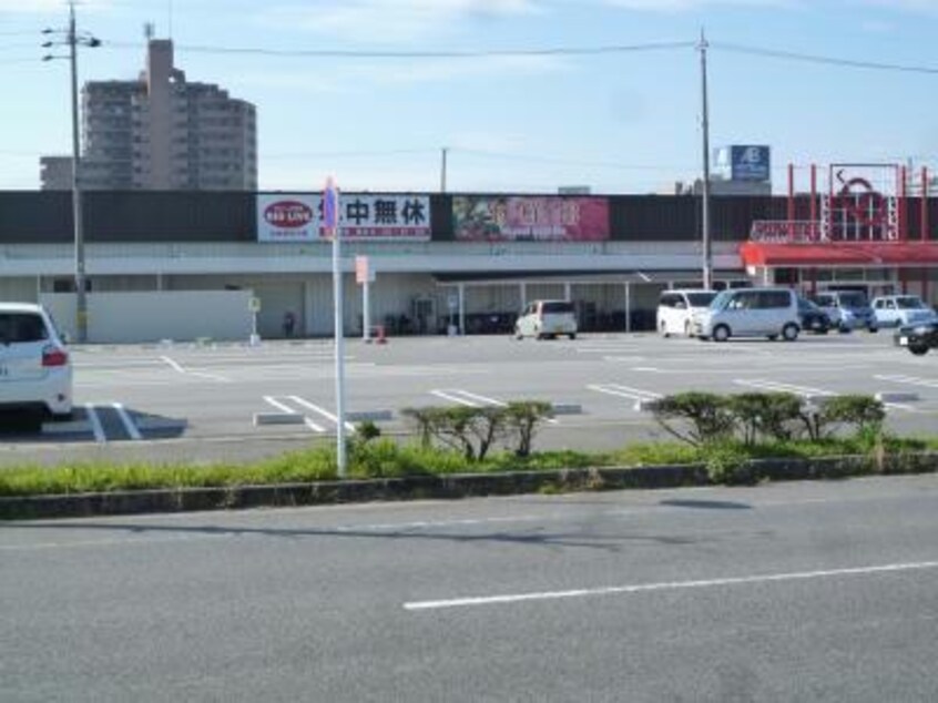 BIGLIVE安城店(スーパー)まで569m ガーデンヒルズ三河安城