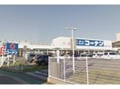 ホームセンターコーナン知立店(電気量販店/ホームセンター)まで876m アルファーステイCT