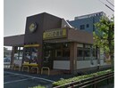 CoCo壱番屋碧南松本店(その他飲食（ファミレスなど）)まで512m ハイツキムラ